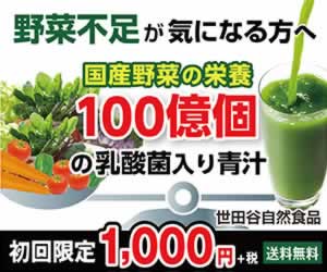 乳酸菌が入った青汁